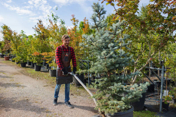 Best Seasonal Cleanup (Spring/Fall)  in Folsom, NJ